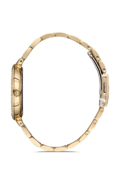 Montre Femme - Daniel Klein DK.1.12883-6