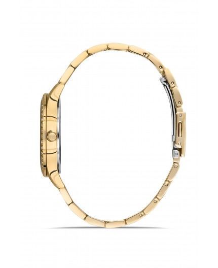 Montre Femme - Daniel Klein DK.1.13228